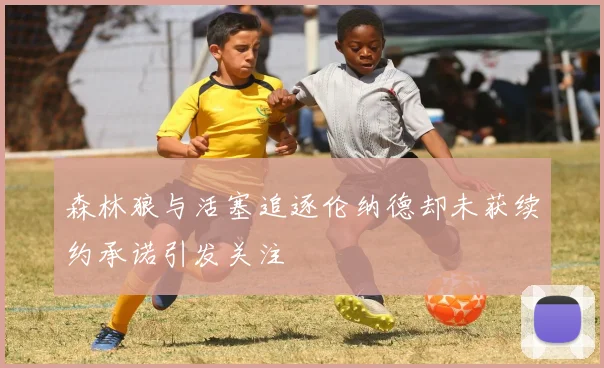 森林狼与活塞追逐伦纳德却未获续约承诺引发关注