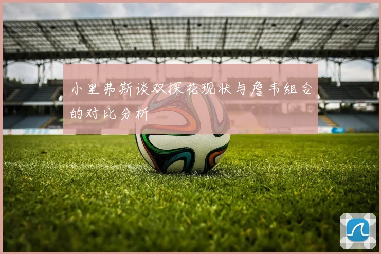 小里弗斯谈双探花现状与詹韦组合的对比分析