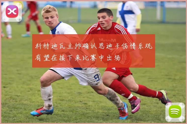 科特迪瓦主帅确认恩迪卡伤情乐观有望在接下来比赛中出场